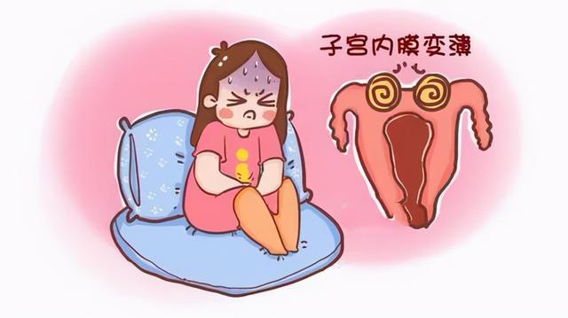 试管婴儿论文(试管婴儿论文5000字)