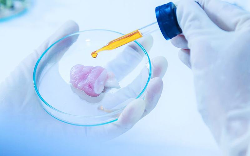 可以做试管婴儿医院试管婴儿步骤过程图