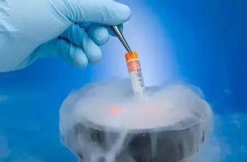 最新试管婴儿成功视频 最新试管婴儿成功视频