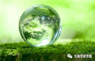 试管婴儿卵泡小 试管婴儿卵泡小