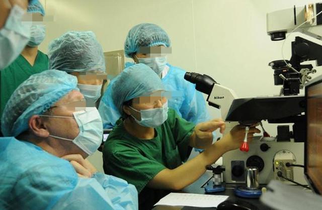 女人试管婴儿视频 女人试管婴儿视频