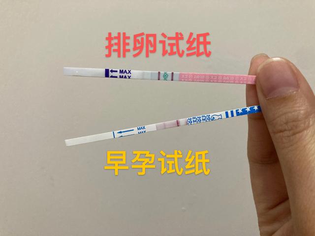 试管婴儿提成 试管婴儿提成