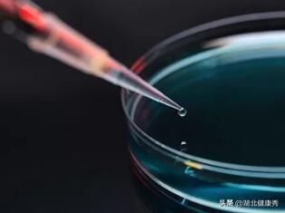 试管婴儿视频过程 试管婴儿视频过程