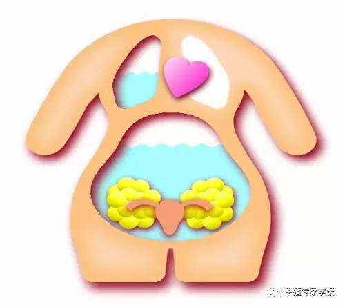 多囊卵巢试管婴儿多囊做试管成功案例