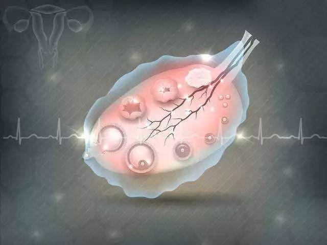 第二代试管婴儿全过程 第二代试管婴儿全过程
