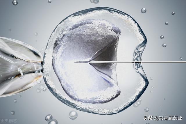 试管婴儿怀孕多久稳定试管婴儿能决定男女吗