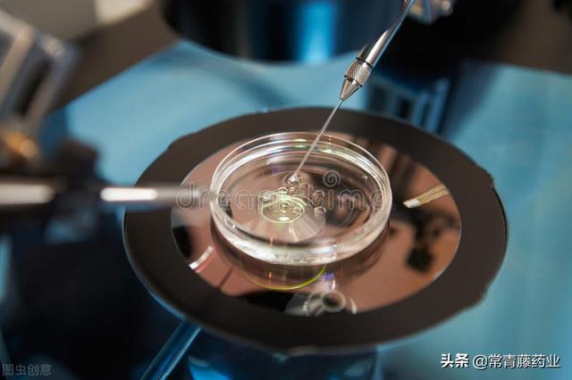 试管婴儿怀孕多久稳定 试管婴儿怀孕多久稳定