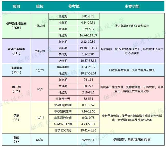 试管婴儿前检查 试管婴儿前检查
