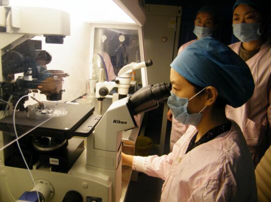 省二院生殖科试管婴儿 省二院生殖科试管婴儿