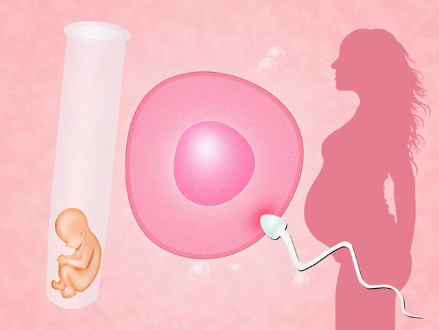 试管婴儿是不是很健康做试管婴儿会老得快