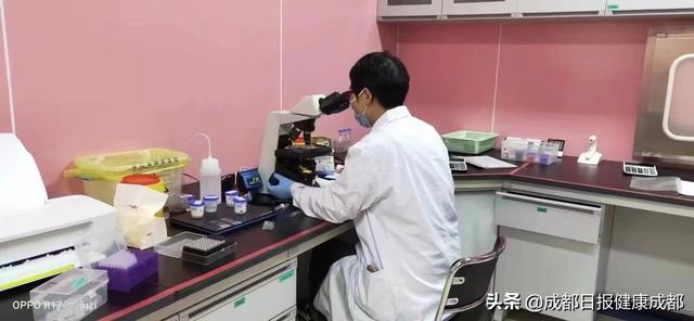 成都试管婴儿好 成都试管婴儿好