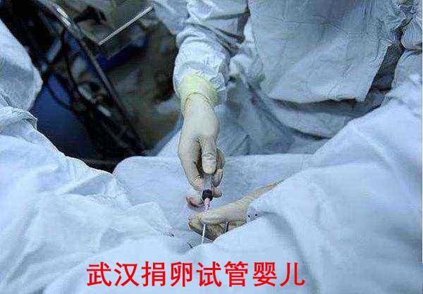 试管婴儿包男孩吗(试管婴儿生儿子会痛吗)