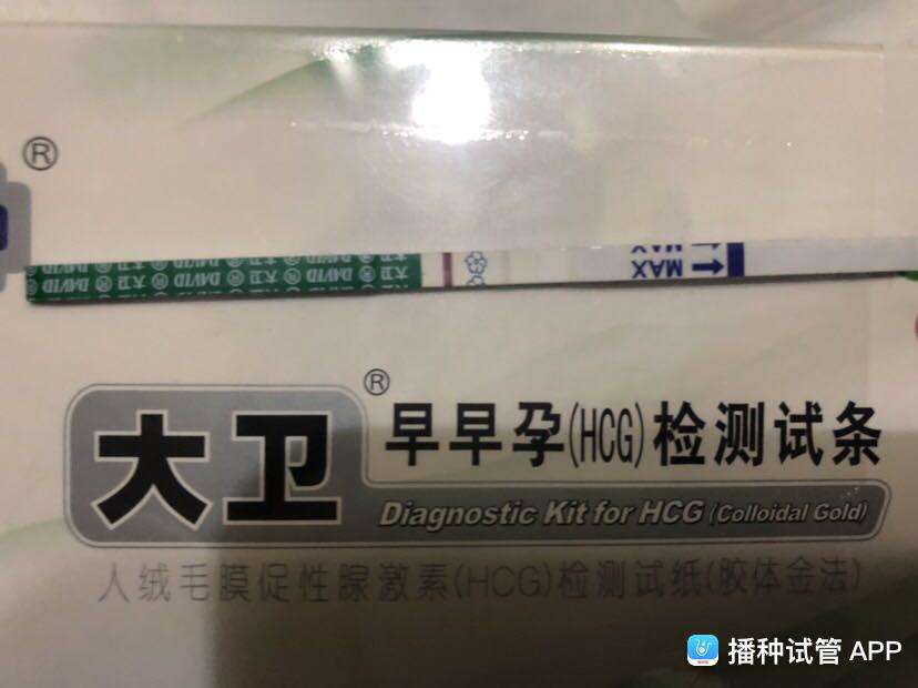 试管婴儿第八天(试管婴儿移植失败前兆)