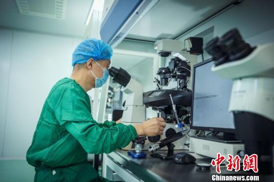 十堰试管婴儿医院 十堰试管婴儿医院