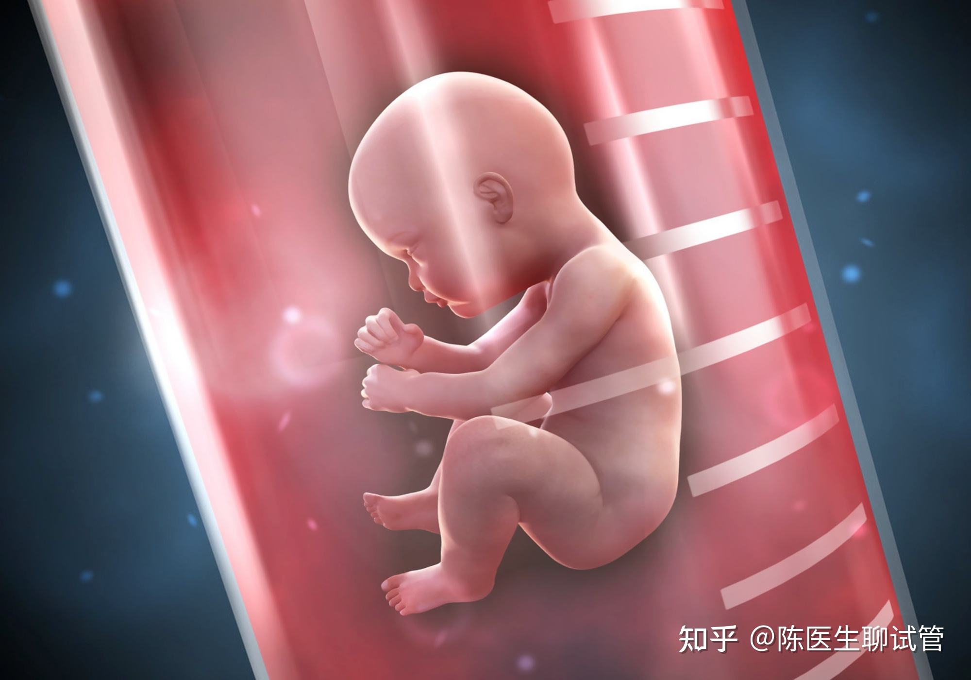 三院试管婴儿多少钱(正规医院试管婴儿多少钱)