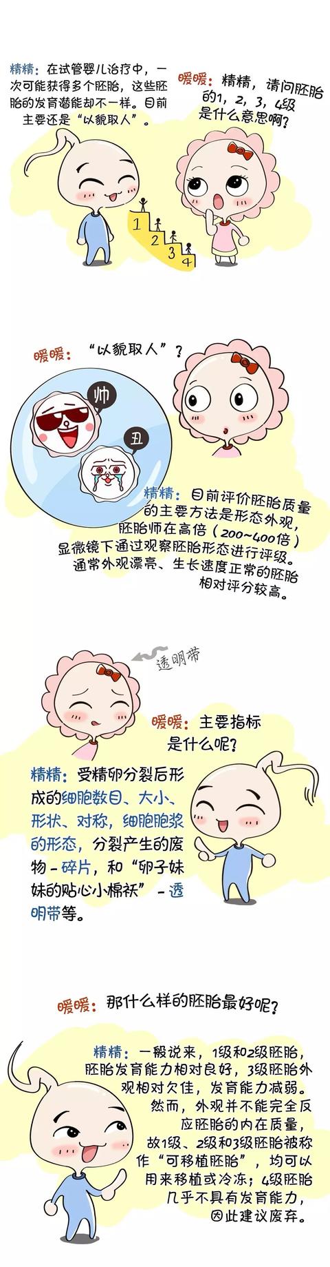 试管婴儿胚胎评级试管婴儿胚胎分裂