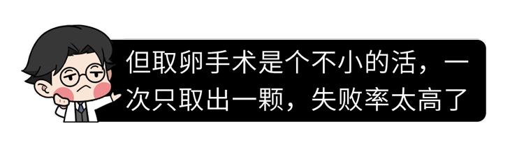 试管婴儿去哪 试管婴儿去哪