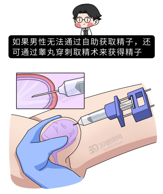 试管婴儿去哪 试管婴儿去哪