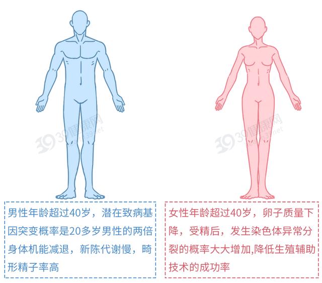 试管婴儿去哪 试管婴儿去哪