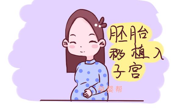 试管婴儿区别 试管婴儿区别