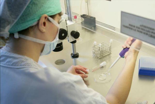 试管婴儿白带 试管婴儿白带