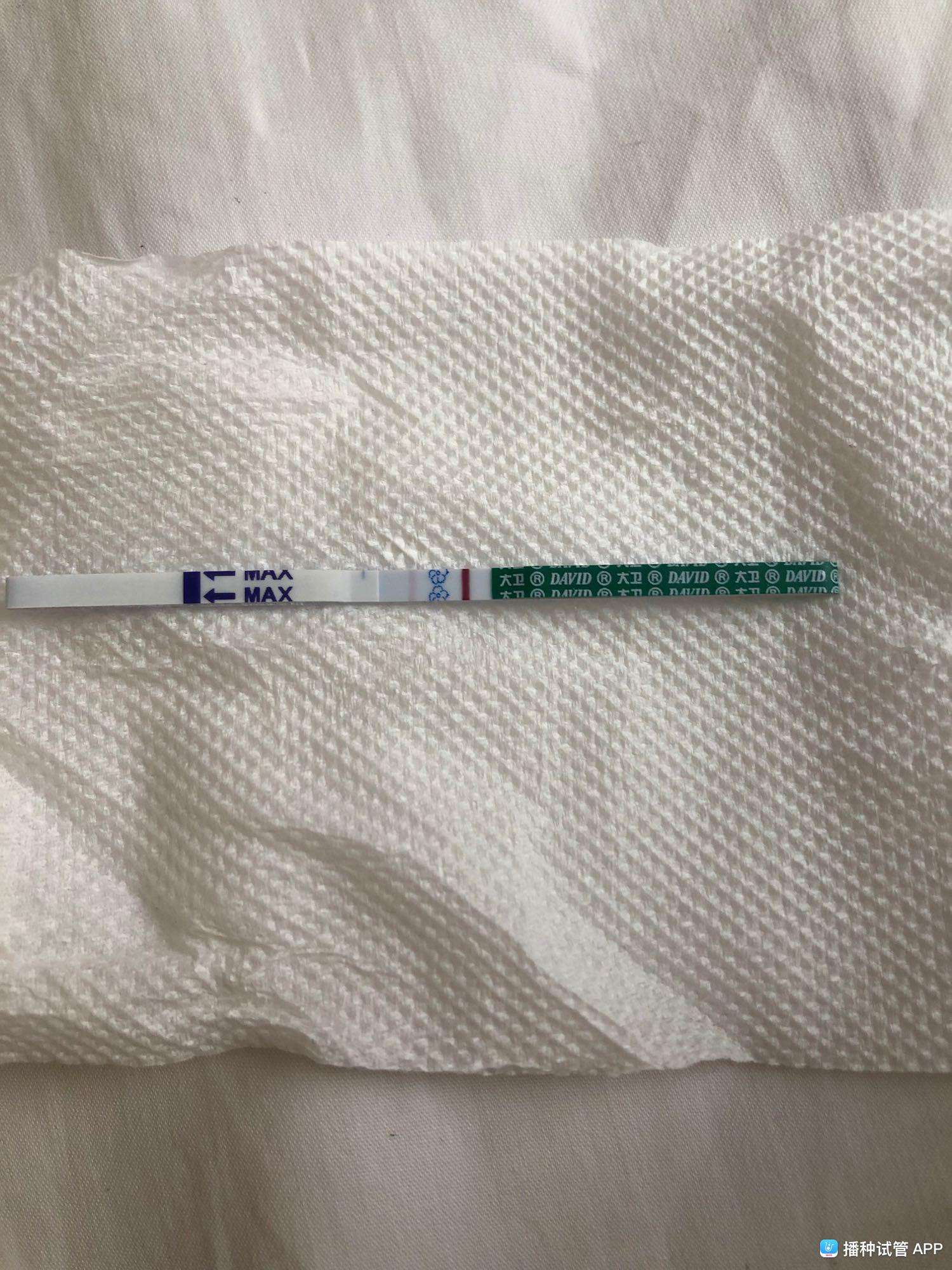 播种网试管婴儿高龄自卵和赠卵成功率