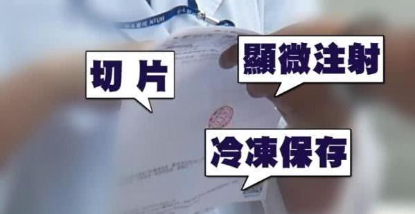 明星做试管婴儿 明星做试管婴儿