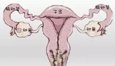 北京试管婴儿医院