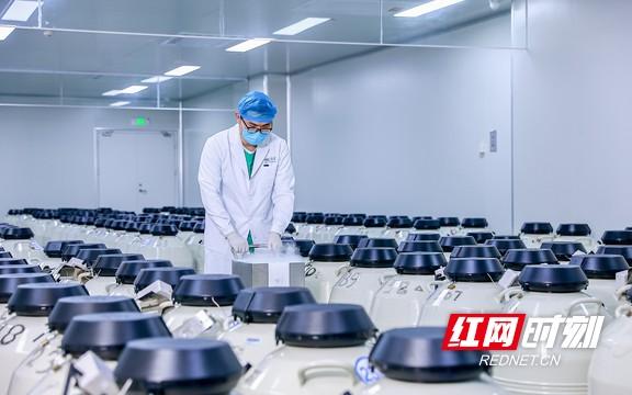 试管婴儿湘雅医院 试管婴儿湘雅医院