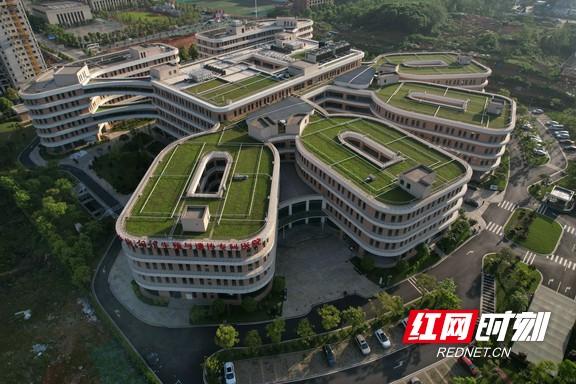 试管婴儿湘雅医院 试管婴儿湘雅医院