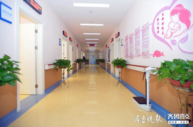 试管婴儿前宫探 试管婴儿前宫探
