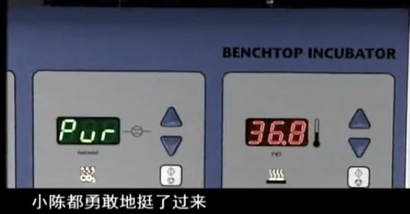 太监试管婴儿 太监试管婴儿