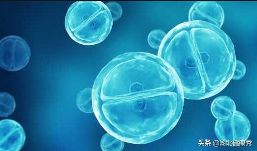 试管婴儿取卵后 试管婴儿取卵后