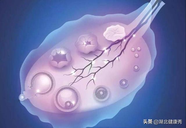 试管婴儿取卵后 试管婴儿取卵后