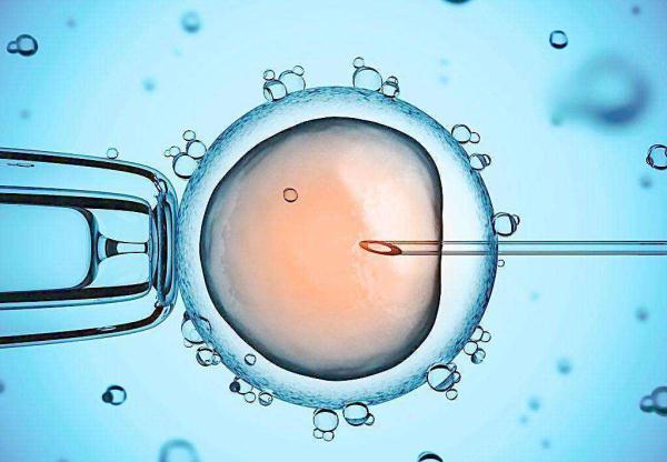 35试管婴儿35岁试管一次成功
