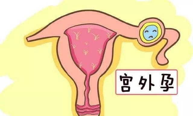 试管婴儿怀孕血值 试管婴儿怀孕血值