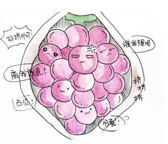 试管婴儿怀孕血值 试管婴儿怀孕血值