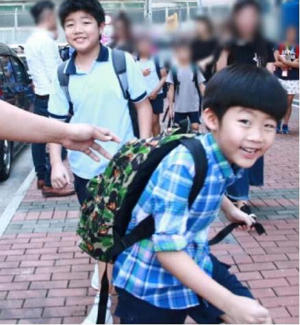陈慧琳试管婴儿 陈慧琳试管婴儿