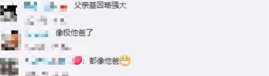 陈慧琳试管婴儿 陈慧琳试管婴儿