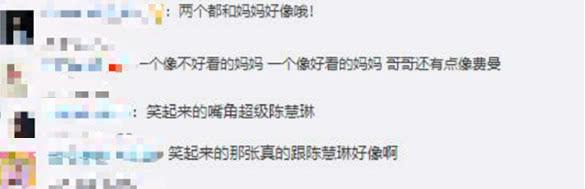 陈慧琳试管婴儿 陈慧琳试管婴儿