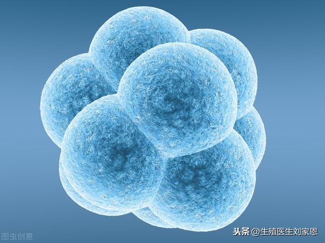 试管婴儿便宜的医院 试管婴儿便宜的医院