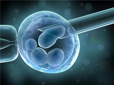 内膜薄可以做试管婴儿吗 内膜薄可以做试管婴儿吗