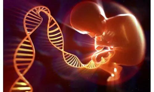 内膜薄可以做试管婴儿吗 内膜薄可以做试管婴儿吗