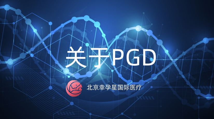 试管婴儿哪里做北京试管婴儿哪里做的最好的医院
