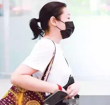 刘若英试管婴儿 刘若英试管婴儿