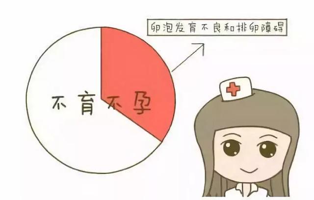 刘若英试管婴儿 刘若英试管婴儿