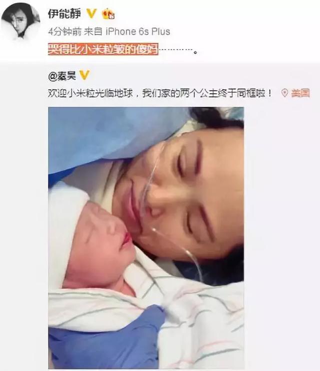 刘若英试管婴儿