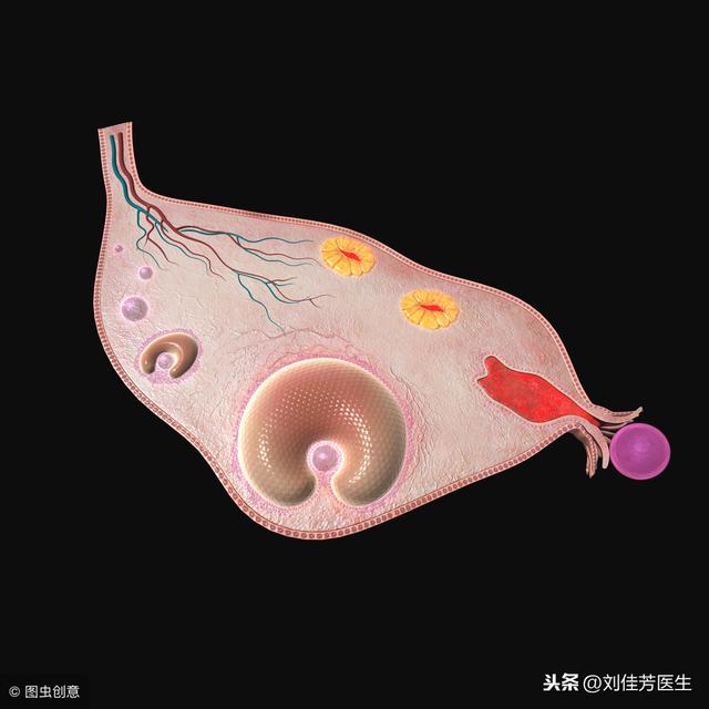 试管婴儿卵巢早衰 试管婴儿卵巢早衰