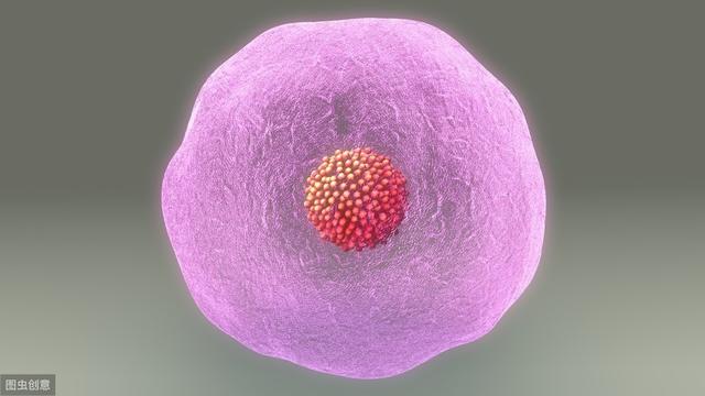 试管婴儿做几次成功 试管婴儿做几次成功