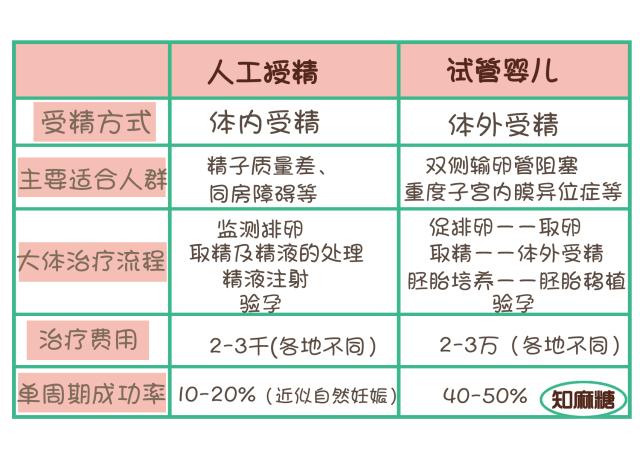 试管婴儿和人工受孕哪个比较好